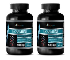 Protein Powder – L-CARNITINE 510mg – Muscle Gain Supplement – 2 Bottles