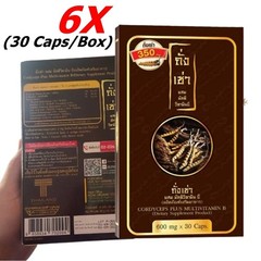 6X Cordyceps Plus Multivitamin B Dietary Supplement Product Health Body 30 Caps
