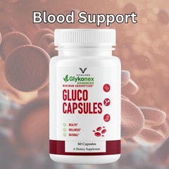 (1 Pack) GlykoNex Pro Daily Wellness Support, GlykoNex Supplement 60 Caps