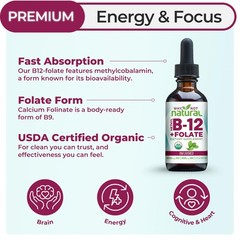 Why Not Natural Vitamin B12 Liquid Plus Folate – 2 Fl Oz (Pack of 1), Red