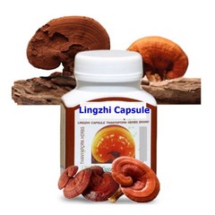 3x Lingzhi Ganoderma Lucidum Reishi Organic Relieve Fatigue Immune Super 100cap