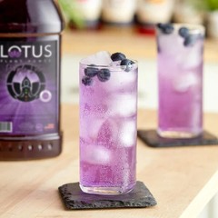 Lotus Plant Power Purple Lotus 5:1 Energy Concentrate 64 fl. oz.