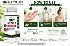 Gut Reset Gut Health Capsules Probiotic Fiber Digestive & Bloating Support