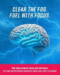 GRINDS Focus Pouches Naturally Flavored with Nootropic Ingredients 2027