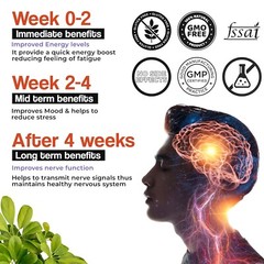 HEALTH VEDA ORGANICS Vitamin B-Complex Supplement | Hair Growth, Boosts Energy