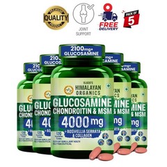 5 Pack H.imalayan Organics Joint Support 120 Veg Tablets