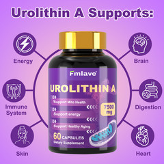 Urolithin A 500mg Healthy Aging Antioxidants Mitochondrial Mitophagy Support 60C