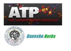 100% PURE ATP POWDER ADENOSINE TRIPHOSPHATE – 50 GRAMS – 200 servings!